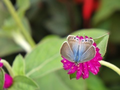 P1010363