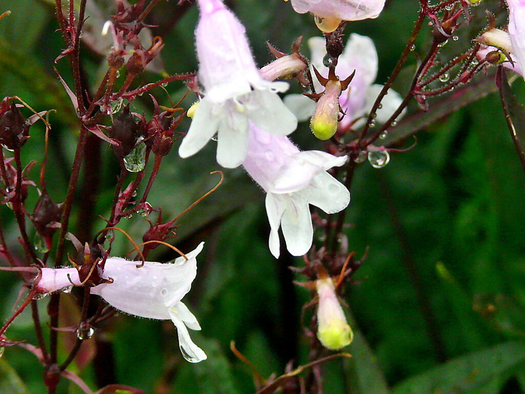 P1130793