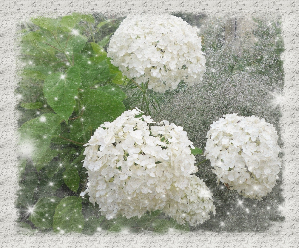 tuxpi.com.1595677817