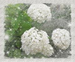tuxpi.com.1595677817