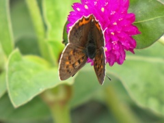 P1010384