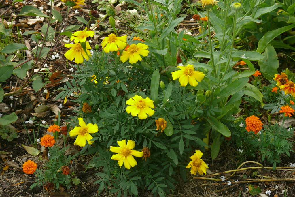 P1150481