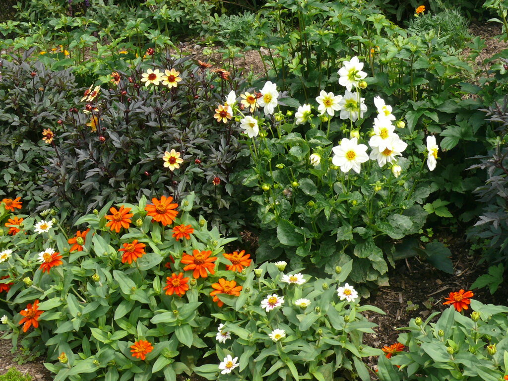 P1140553