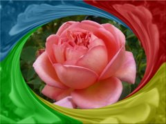 tuxpi.com.1595249178