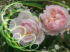 趣を変えて見ました　　１