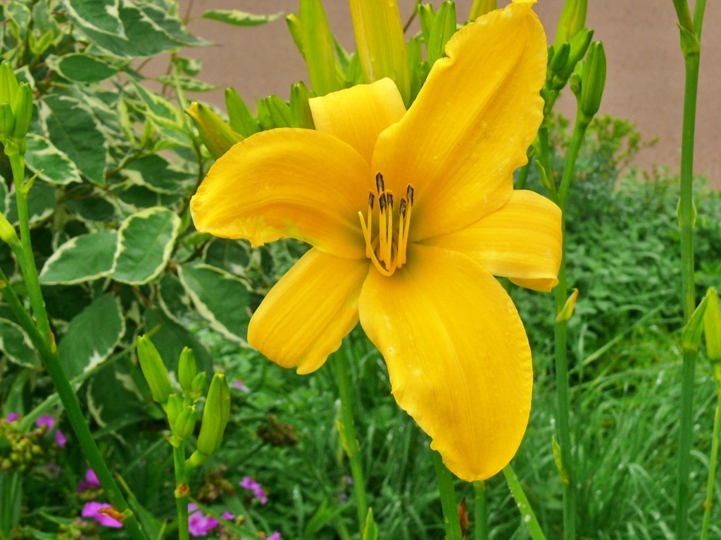 P1130686