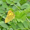 P1020266