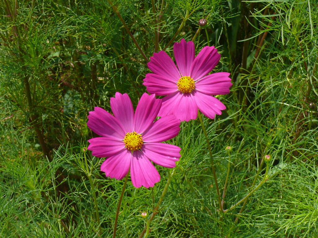 P1140580