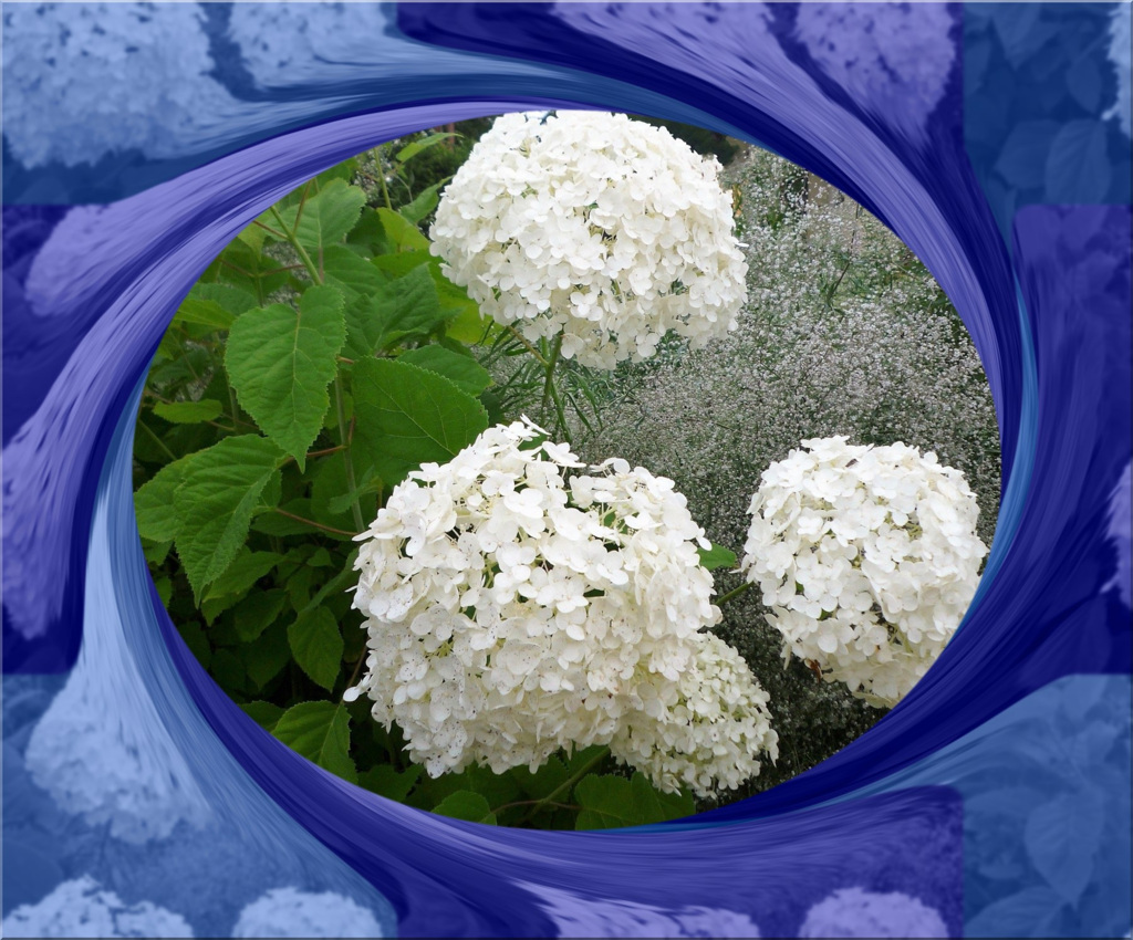 tuxpi.com.1595336995