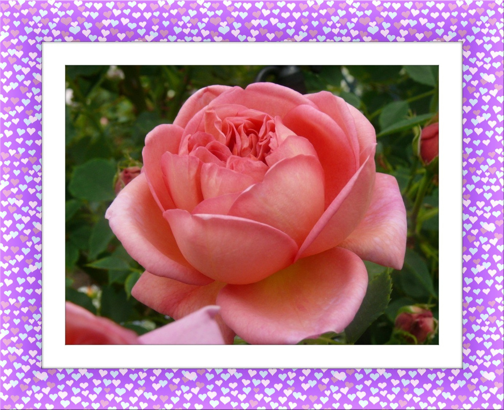 tuxpi.com.1595249287