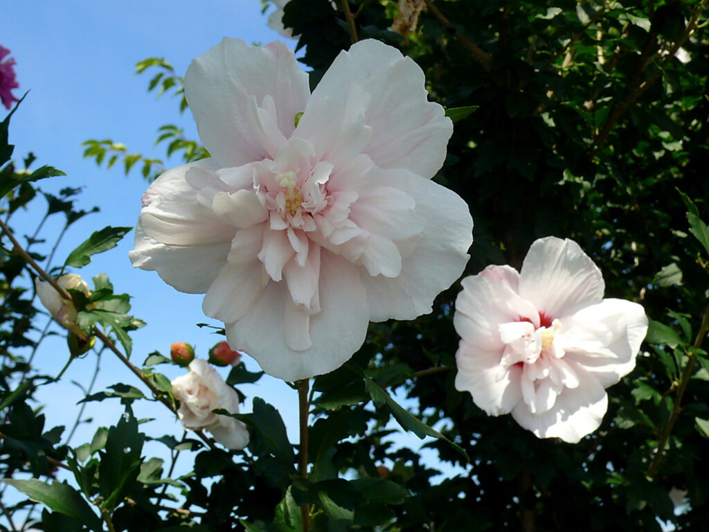 P1070687