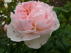 綺麗にしてみました。