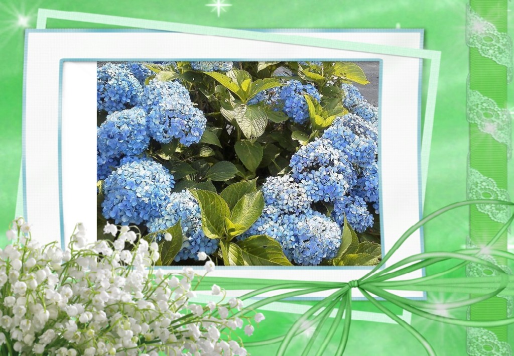 フレームを付けて見ました