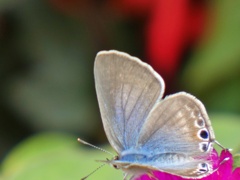 P1010372