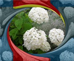 tuxpi.com.1595336950