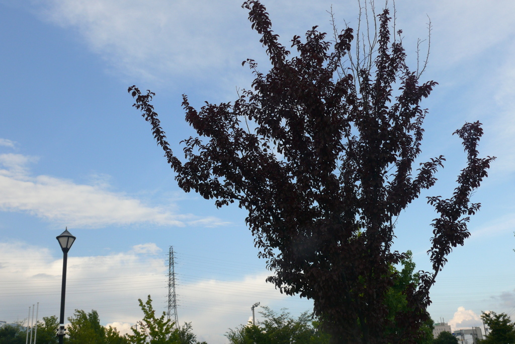P1160213