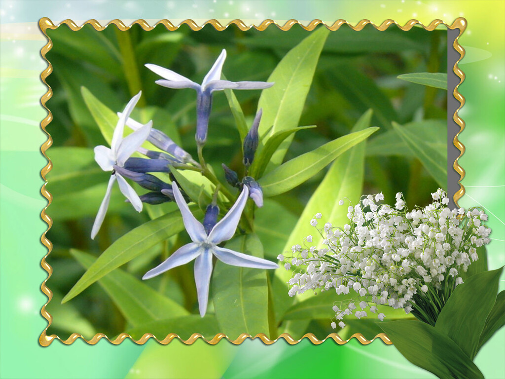 loonapix_159469949351927483_max