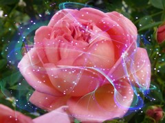 6217cf948f931bd2a9aec222403f51f4_l (1)