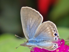 P1010373