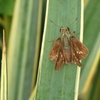 P1020601