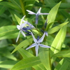 P1130003