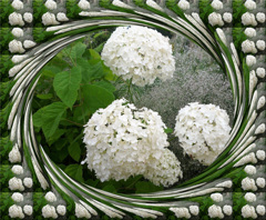 tuxpi.com.1595337176