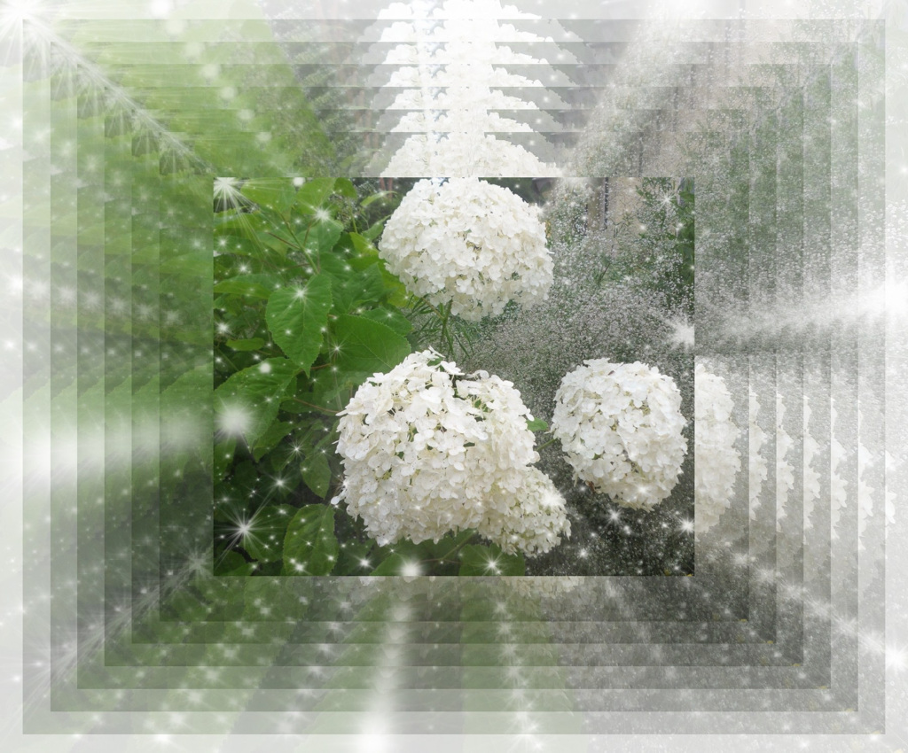 tuxpi.com.1595677634
