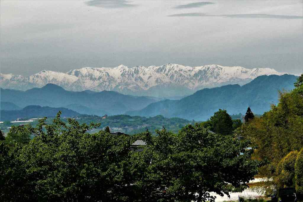 P1040996 (2).JPG  hy