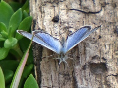 P1020575