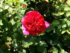 P1070576