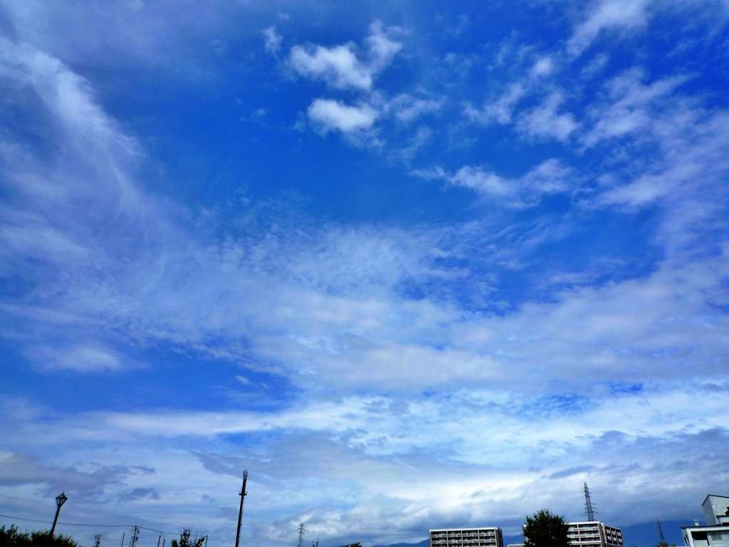 P1040631