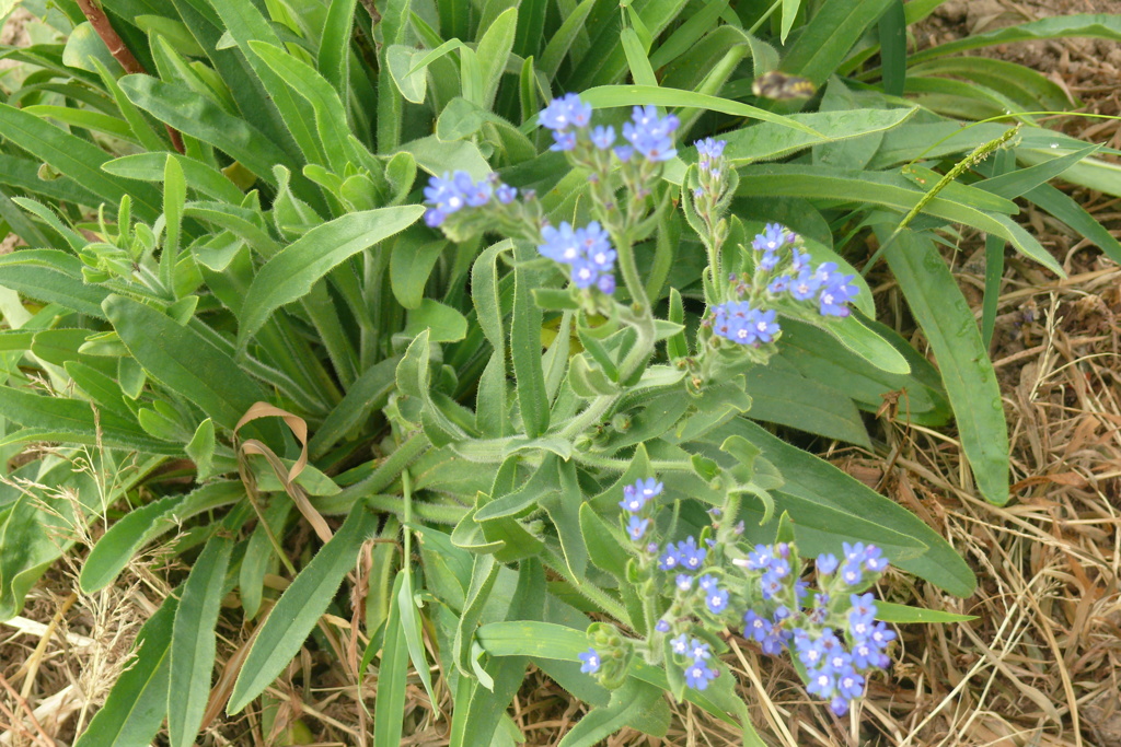 P1150504