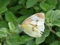 P1020587