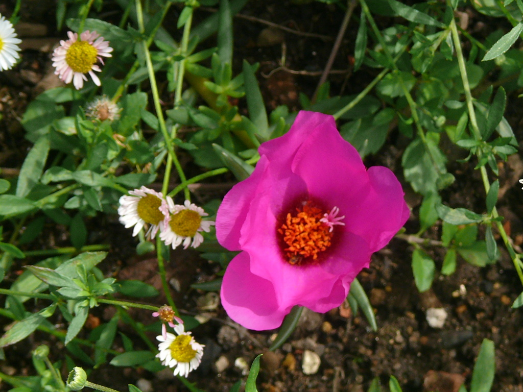P1140545 (1)