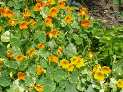 P1070584