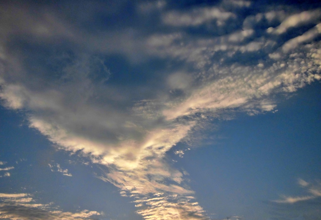 CIMG0384 (1)