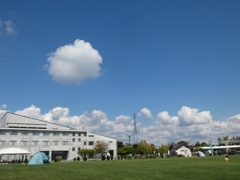 P1010553
