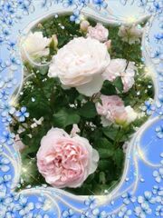 my_photo_flower-1976 (3)