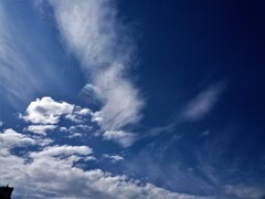 P1040635 - コピー