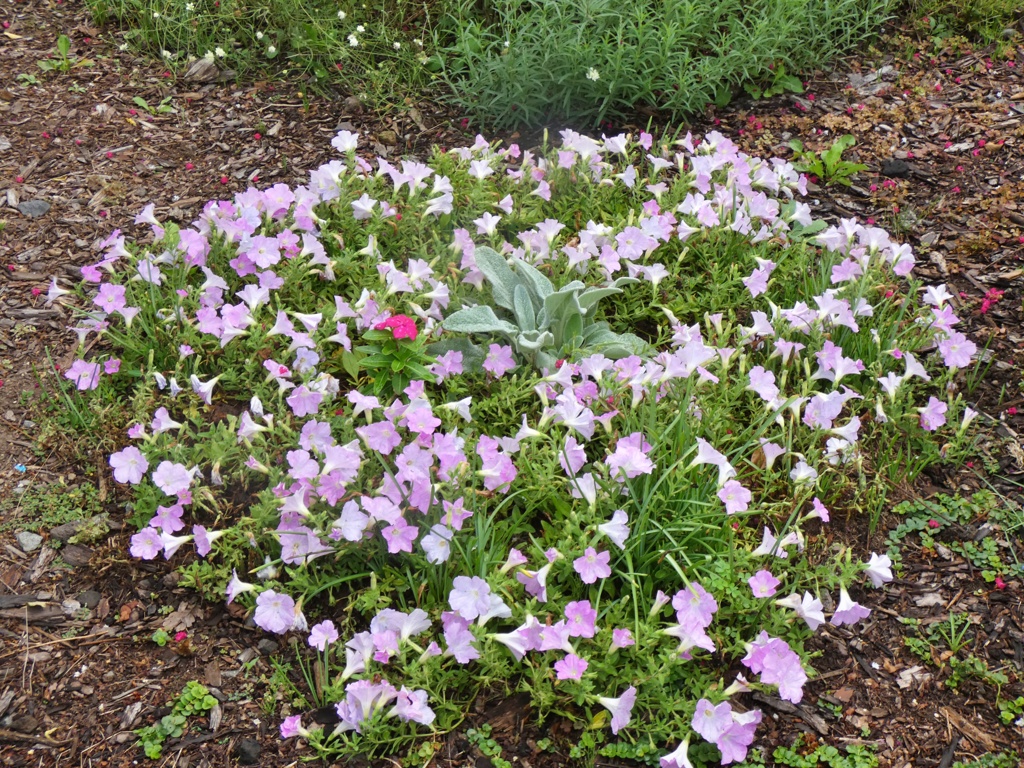 P1010428