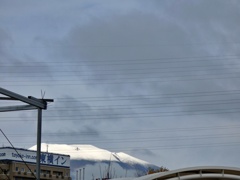 初冠雪