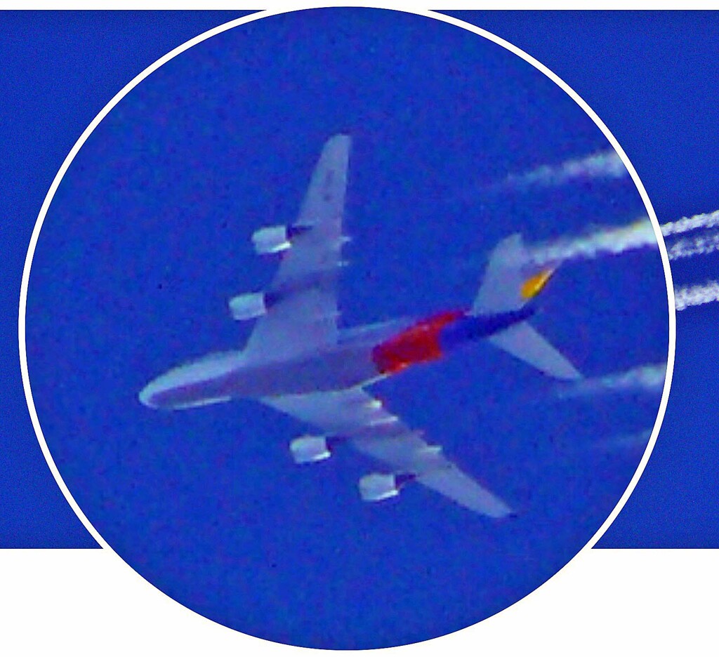 P1110603.JPG  b_1.jpg  f