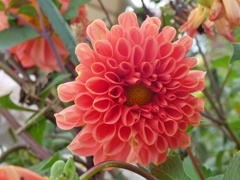 P1020304