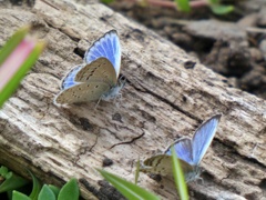 P1020569
