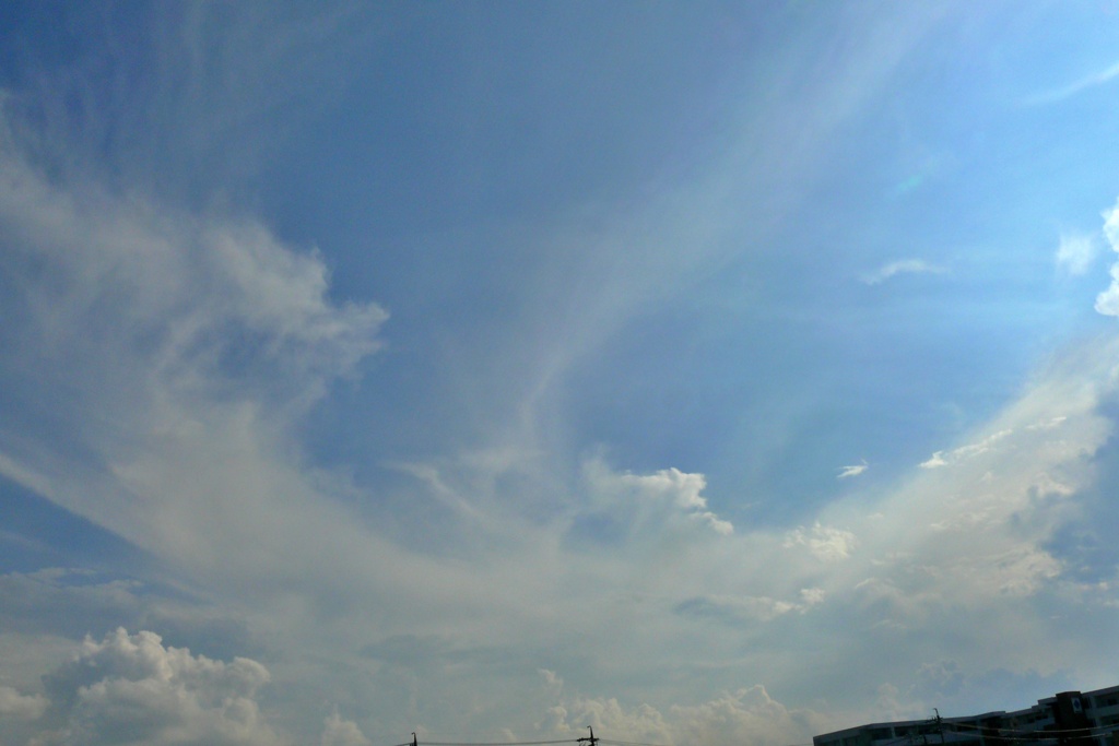 P1160139