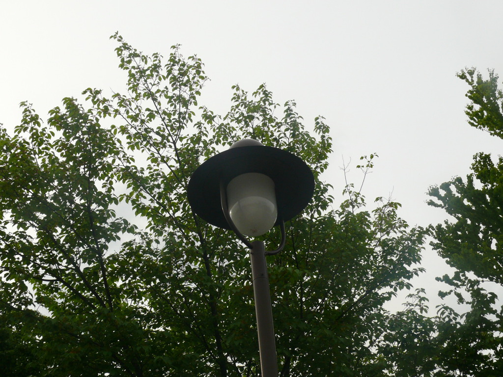 P1130284