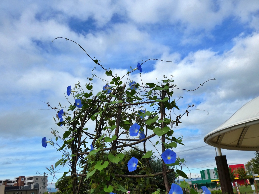 P1010160