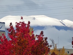 まさかの雪