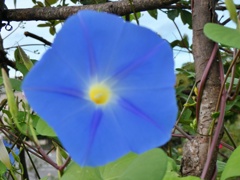 P1010158