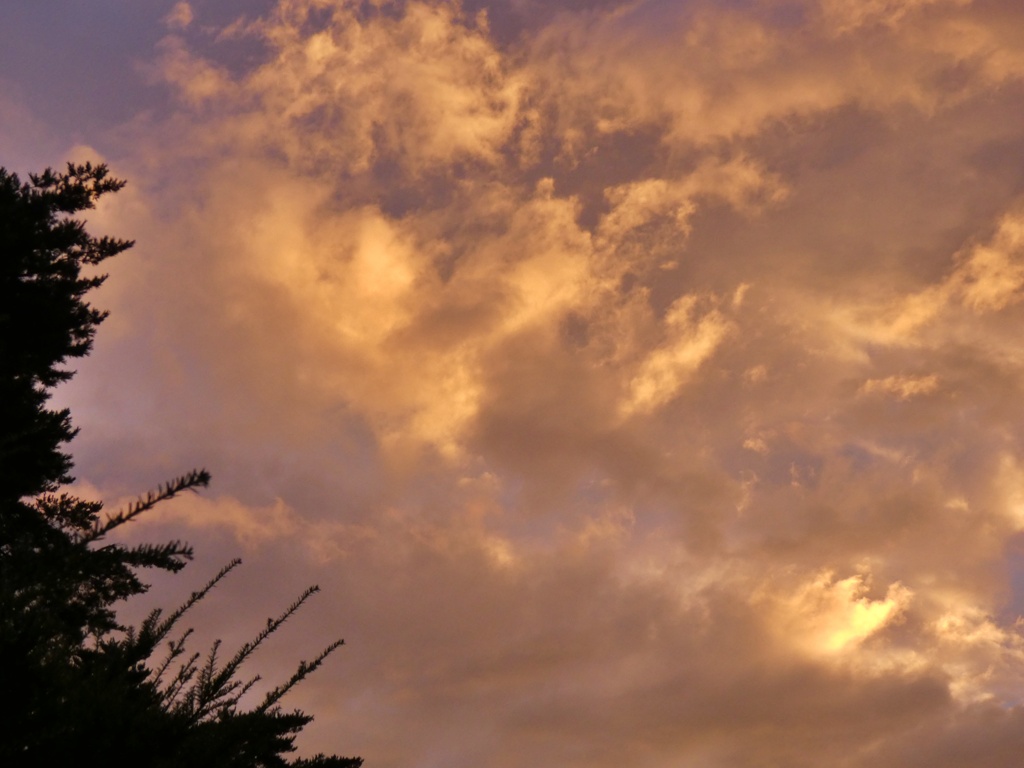 9月10日の朝の空